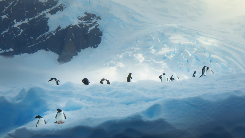 UN_80__Youth_Visual_Stories_Illuminate_Our_Shared_Future - News for amigos, by amigos UN_80__Youth_Visual_Stories_Illuminate_Our_Shared_Future