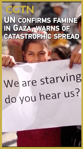 UN declares famine in Gaza: over 500,000 at risk UN_declares_famine_in_Gaza__over_500_000_at_risk video poster