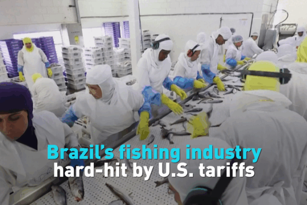 U.S. 50% Tariff Sparks Crisis in Brazil’s Fishing Industry U_S__50__Tariff_Sparks_Crisis_in_Brazil_s_Fishing_Industry video poster