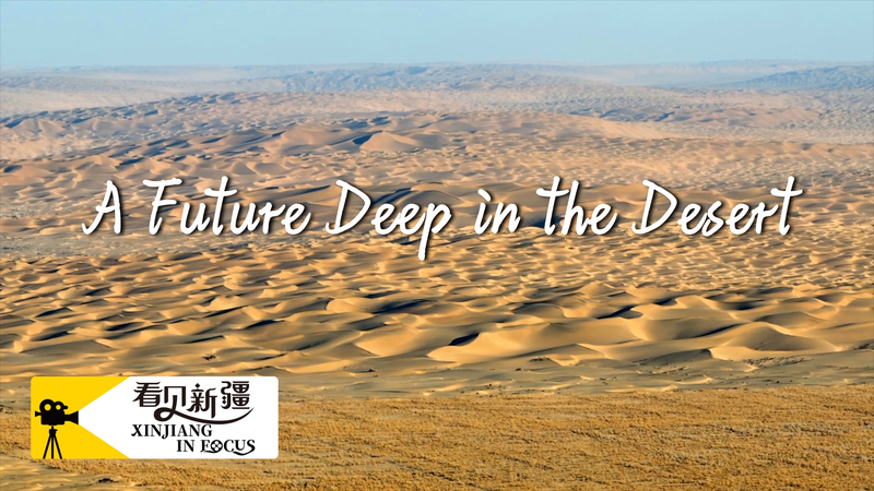 Xinjiang Township Blossoms: A New Dawn in the Desert Xinjiang_Township_Blossoms__A_New_Dawn_in_the_Desert video poster