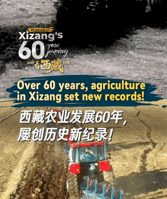 Xizang’s 60s Agri Revolution: 60 Years of Record Growth! Xizang_s_60s_Agri_Revolution__60_Years_of_Record_Growth_ video poster