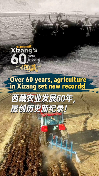 Xizang_s_60s_Agri_Revolution__60_Years_of_Record_Growth__poster - News for amigos, by amigos Xizang_s_60s_Agri_Revolution__60_Years_of_Record_Growth_ video poster