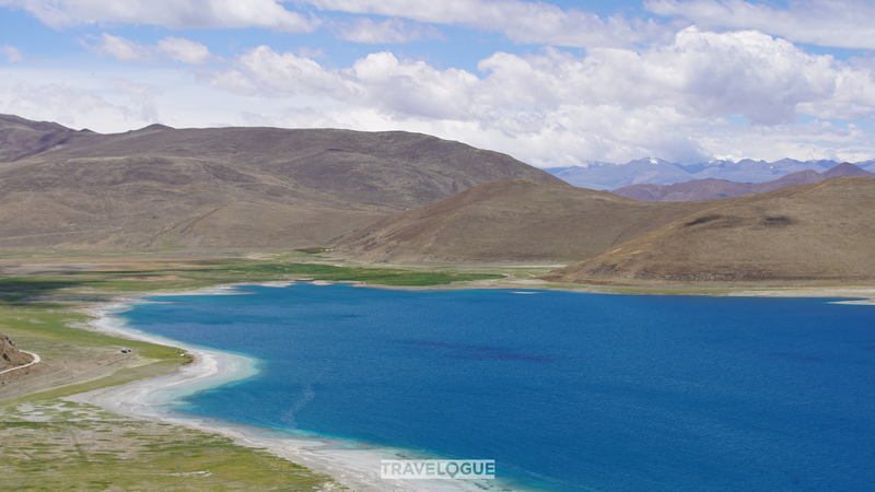 Yaks & Highland Farming at Yamzhog Yumco Lake Yaks___Highland_Farming_at_Yamzhog_Yumco_Lake