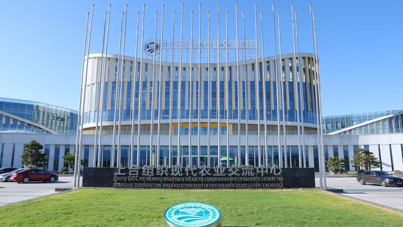 Yangling_Blossoms_as_SCO_s_Agri_Tech_Powerhouse