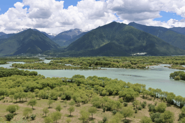 Yani Wetland: A Thriving Oasis on the Roof of the World Yani_Wetland__A_Thriving_Oasis_on_the_Roof_of_the_World