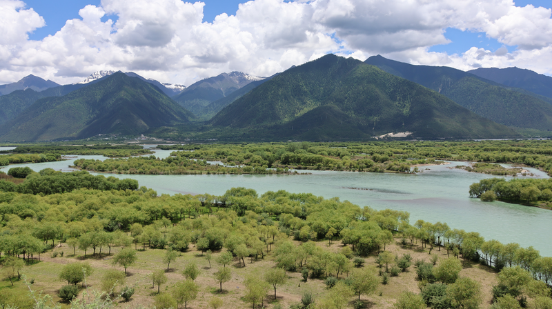 Yani_Wetland__A_Thriving_Oasis_on_the_Roof_of_the_World