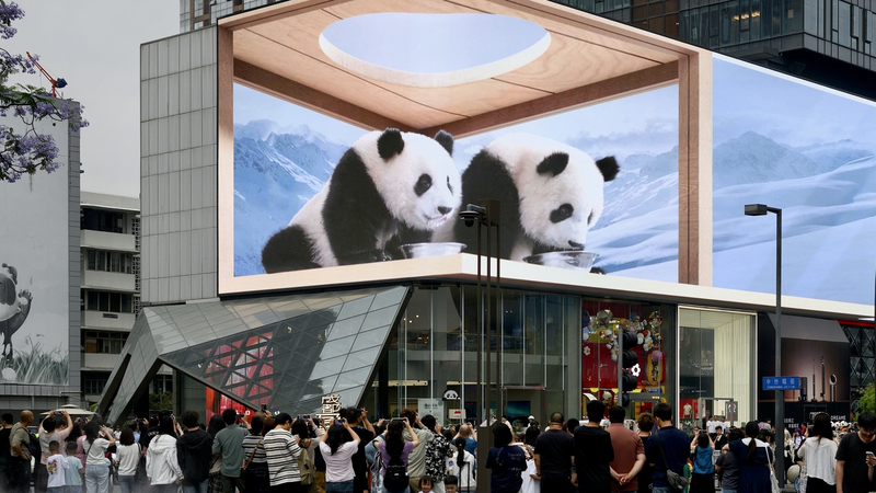 0DERSXHQD9Z76W7YBADA - News for amigos, by amigos How Sichuan’s Retail Boom Fuels Cozy Urban Living video poster