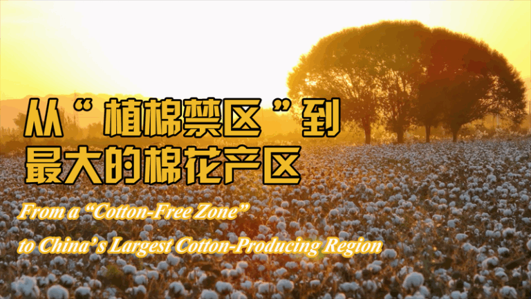 Xinjiang's Rise: From Cotton-Free Zone to Production Powerhouse 🌾 video poster
