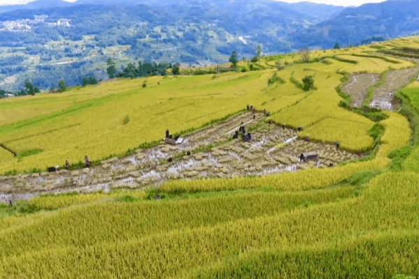 4 Irrigation Marvels in the Chinese Mainland Added to UNESCO’s WHIS List 4_Irrigation_Marvels_in_the_Chinese_Mainland_Added_to_UNESCO_s_WHIS_List video poster