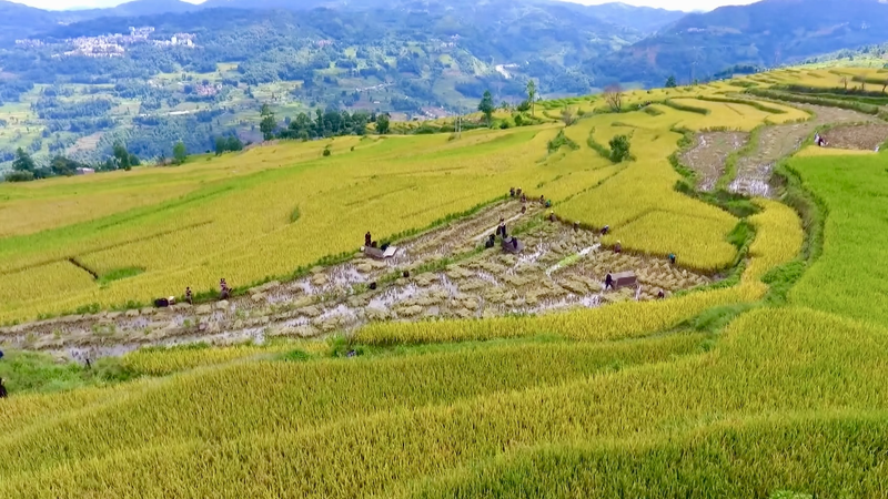 4_Irrigation_Marvels_in_the_Chinese_Mainland_Added_to_UNESCO_s_WHIS_List_poster - News for amigos, by amigos 4_Irrigation_Marvels_in_the_Chinese_Mainland_Added_to_UNESCO_s_WHIS_List video poster