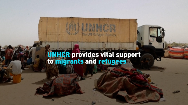 UNHCR’s Vital Support for Migrants & Refugees in Latin America UNHCR’s Vital Support for Migrants & Refugees in Latin America video poster