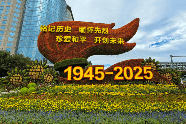 80_Years_On__How_WWII_s_Hard_Won_Peace_Shapes_Our_Future