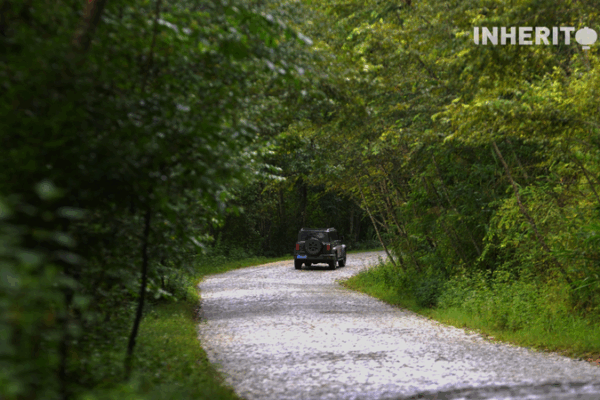 Jingmai Mountain’s Cobblestone Road: A Slow Ride Through Tea Traditions Jingmai Mountain’s Cobblestone Road: A Slow Ride Through Tea Traditions