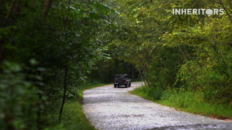 Jingmai Mountain’s Cobblestone Road: A Slow Ride Through Tea Traditions