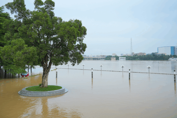 China Channels 940M Yuan for Flood Relief 🌧️🚜 China Channels 940M Yuan for Flood Relief 🌧️🚜