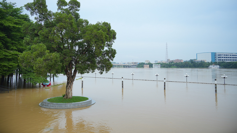 8TAK6PG6BHKARJ96533U - News for amigos, by amigos China Channels 940M Yuan for Flood Relief 🌧️🚜