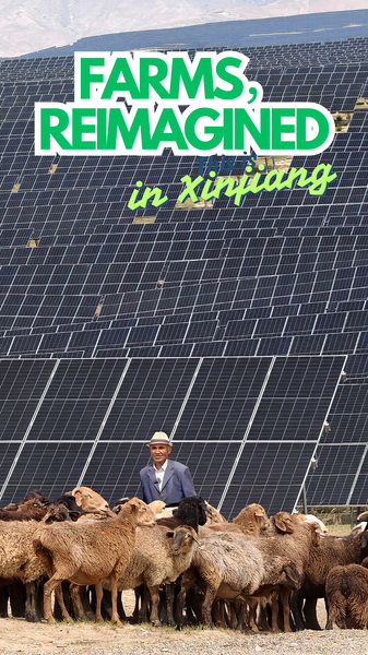 BE2VJH2P3711H73PUF07 - News for amigos, by amigos Xinjiang’s Mountain Solar Ocean Sparks Green Energy Surge video poster