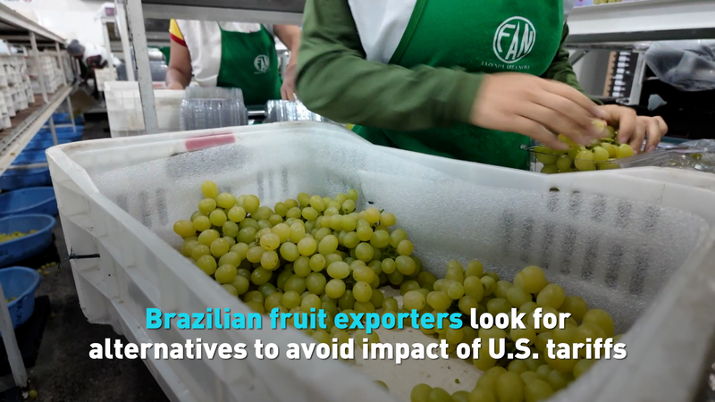 Brazil_s_Fruit_Exporters_Seek_New_Markets_Amid_U_S__Tariffs_poster - News for amigos, by amigos Brazil_s_Fruit_Exporters_Seek_New_Markets_Amid_U_S__Tariffs video poster