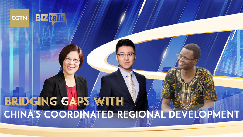 Bridging_Gaps__China_s_Regional_Growth_Plan video poster