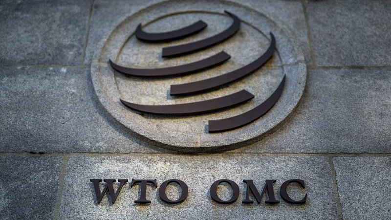 Chinese_Mainland_Backs_Fair_Trade_by_Forgoing_New_WTO_SDT