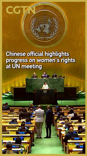 Chinese_Mainland_Celebrates_30_Years_of_Women_s_Rights_Progress_at_UN video poster