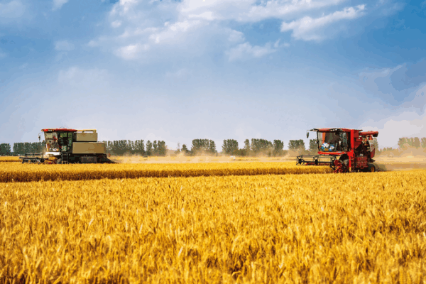 Chinese Mainland Draws Red Line to Protect Farmland Chinese_Mainland_Draws_Red_Line_to_Protect_Farmland