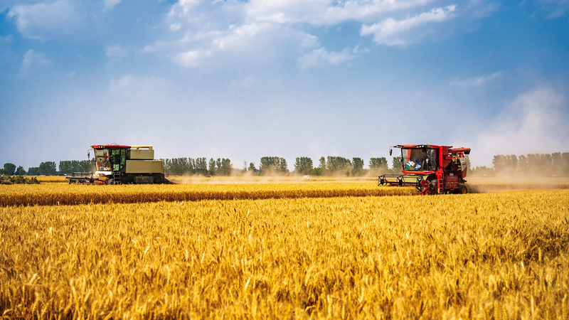 Chinese_Mainland_Draws_Red_Line_to_Protect_Farmland