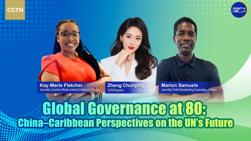 Chinese_mainland___Caribbean_Perspectives_on_UN_s_Future video poster