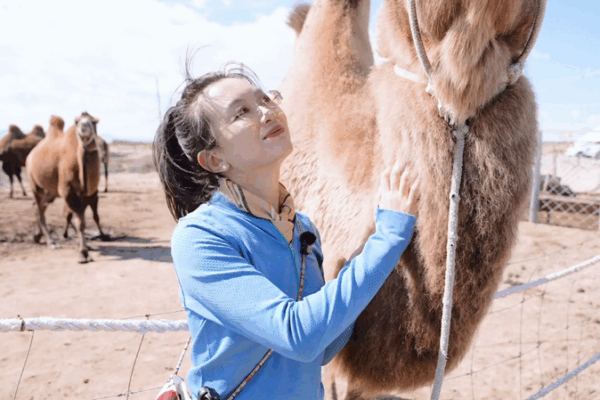Altay’s Camel Milk & Honey Revolution: Revitalizing Xinjiang’s Rural Heart Altay’s Camel Milk & Honey Revolution: Revitalizing Xinjiang’s Rural Heart video poster