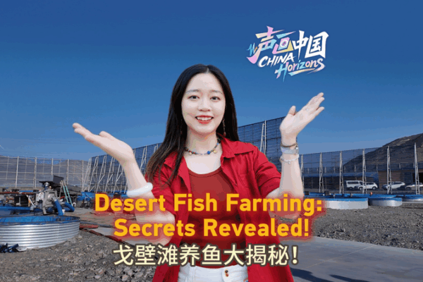 Desert Oasis: How Turpan Farms Fish in the Gobi Desert_Oasis__How_Turpan_Farms_Fish_in_the_Gobi video poster