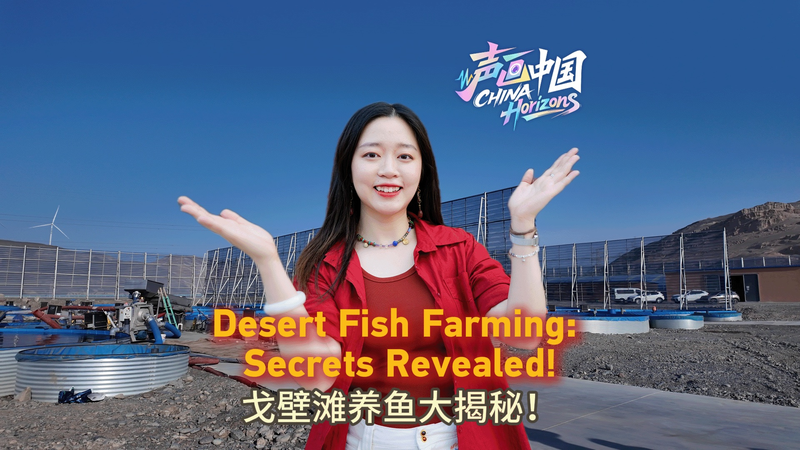 Desert_Oasis__How_Turpan_Farms_Fish_in_the_Gobi video poster