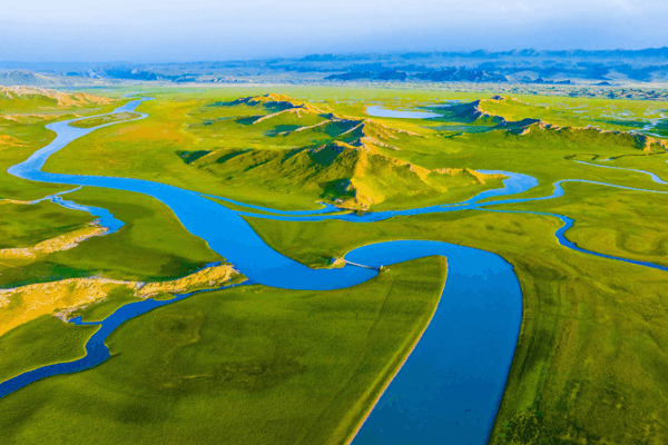 Discover Bayanbulak Grassland: Xinjiang’s Serene Green Haven Discover_Bayanbulak_Grassland__Xinjiang_s_Serene_Green_Haven