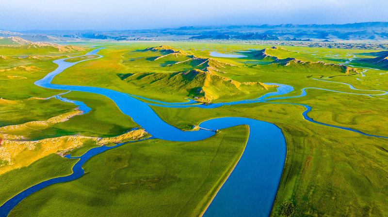 Discover_Bayanbulak_Grassland__Xinjiang_s_Serene_Green_Haven - News for amigos, by amigos Discover_Bayanbulak_Grassland__Xinjiang_s_Serene_Green_Haven