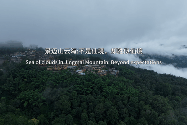 Dreamy Sea of Clouds on Jingmai Mountain Dreamy_Sea_of_Clouds_on_Jingmai_Mountain video poster
