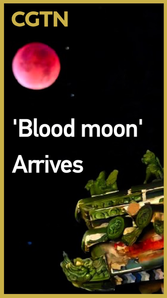 E1WAHKCE66IIO56SZH66 - News for amigos, by amigos Spectacular Blood Moon Lights Up the Night Sky 🌕🔴 video poster