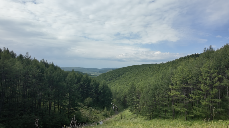 Inner Mongolia Turns Forests into Eco-Profits with Carbon Sinks 🌳💰 Inner Mongolia Turns Forests into Eco-Profits with Carbon Sinks 🌳💰