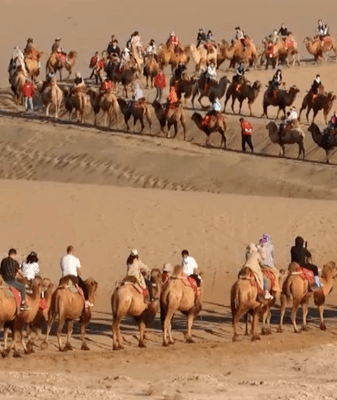 Expert Urges Stronger Belt and Road Tourism Ties Expert_Urges_Stronger_Belt_and_Road_Tourism_Ties video poster