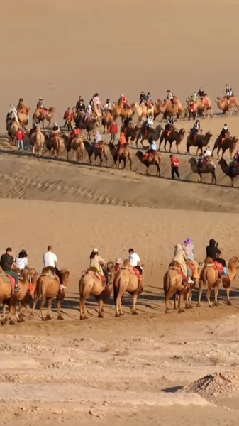 Expert_Urges_Stronger_Belt_and_Road_Tourism_Ties_poster - News for amigos, by amigos Expert_Urges_Stronger_Belt_and_Road_Tourism_Ties video poster