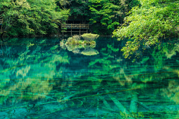 Five-Flower Lake: Nature’s Color Palette in Jiuzhaigou Five_Flower_Lake__Nature_s_Color_Palette_in_Jiuzhaigou video poster