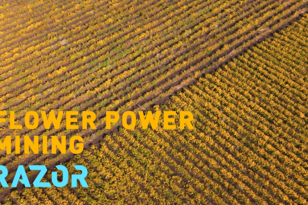Flower-Powered Nickel: A Green Mining Revolution Flower_Powered_Nickel__A_Green_Mining_Revolution video poster