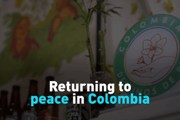 From Guerrilla Fighters to Brewmasters: Peace Brewing in Colombia From_Guerrilla_Fighters_to_Brewmasters__Peace_Brewing_in_Colombia video poster