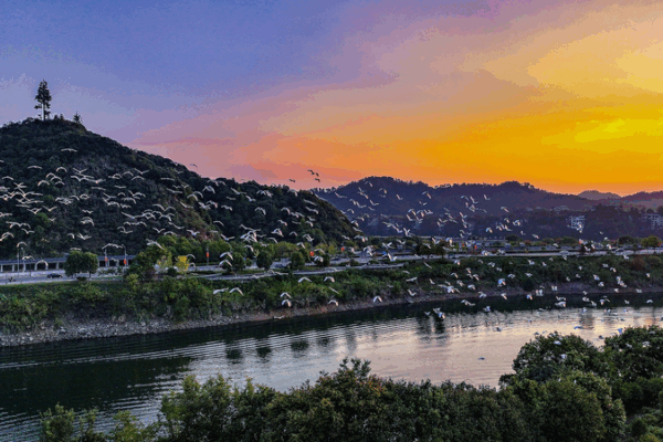 Hangzhou to Host 5th World Congress of Biosphere Reserves Hangzhou_to_Host_5th_World_Congress_of_Biosphere_Reserves video poster