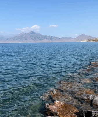How Tourism + Fishery Mode Boosts Herdsmen’s Income at Sayram Lake How_Tourism___Fishery_Mode_Boosts_Herdsmen_s_Income_at_Sayram_Lake video poster