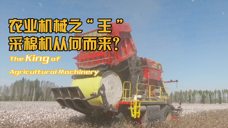 Xinjiang’s DIY Cotton Harvesters Are Changing the Game Xinjiang’s DIY Cotton Harvesters Are Changing the Game video poster