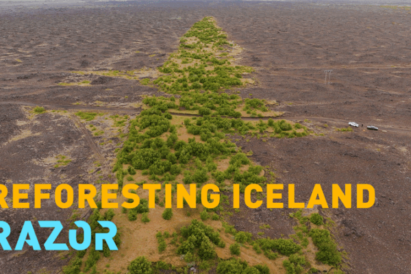 Iceland’s Epic Forest Comeback Iceland_s_Epic_Forest_Comeback video poster