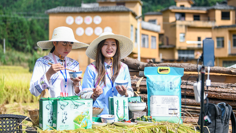 Inside the Chinese Mainland Farmers’ Harvest Festival: More Than Just a Party Inside_the_Chinese_Mainland_Farmers__Harvest_Festival__More_Than_Just_a_Party