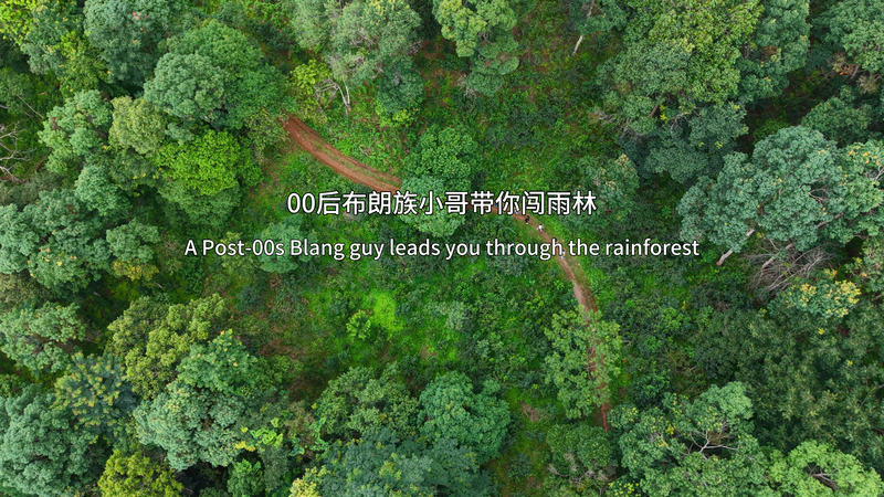 Journey_Through_Jingmai_Mountain__A_Young_Blang_s_Guide_to_Rainforest_Wisdom video poster