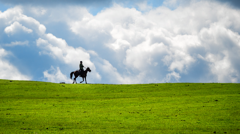 Kalajun_Grassland__Summer_Wildflower_Wonderland_in_Xinjiang_poster - News for amigos, by amigos Kalajun_Grassland__Summer_Wildflower_Wonderland_in_Xinjiang video poster