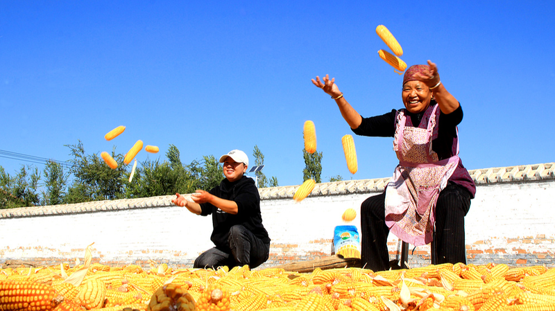 Life Expectancy in Xinjiang Soars to 77 in 2024 Life_Expectancy_in_Xinjiang_Soars_to_77_in_2024