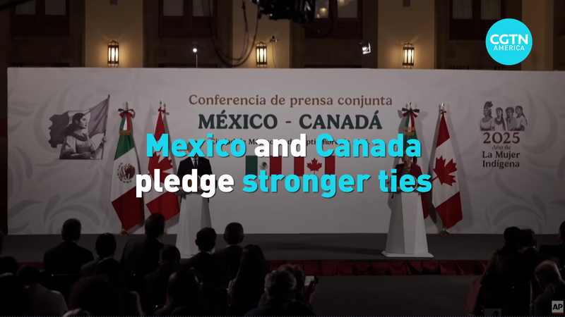 Mexico_and_Canada_Forge_Stronger_Ties_at_Mexico_City_Summit video poster